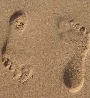 eco footprint